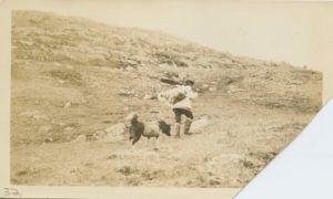 Image of Man hiking with backpack and gun; dog wearing saddle bags
